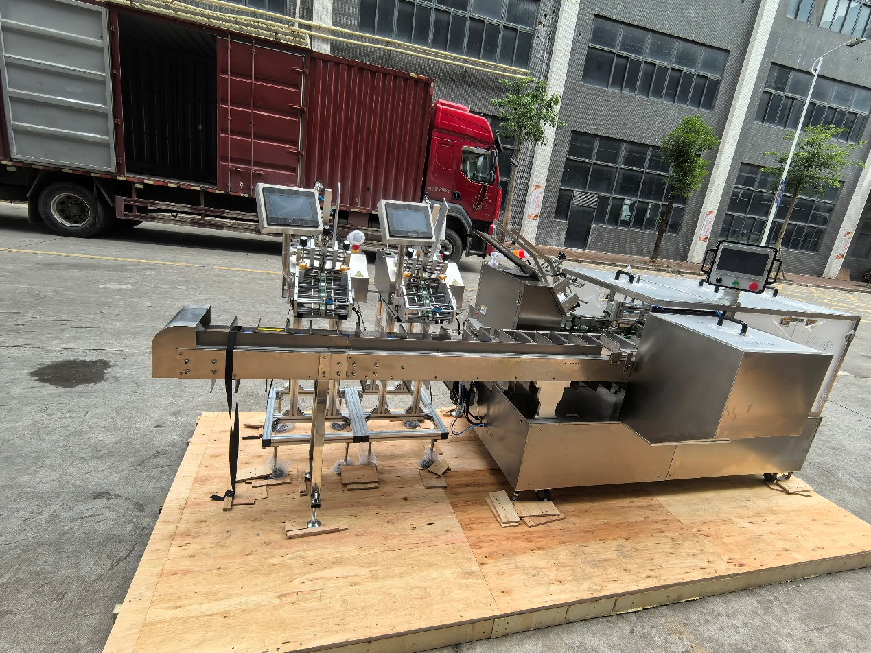 Polish Customer Case Study: Automatic Cartoning Line with Dual Friction Feeders for Exact 50-Sheet Counting