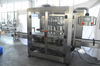 Complete Automatic Liquid Filling & Packaging Line | Piston & Gear Pump Solutions for Bottles